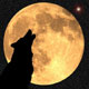 Avatar do Utilizador