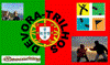 Avatar do Utilizador
