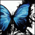 Avatar do Utilizador