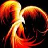 Avatar do Utilizador