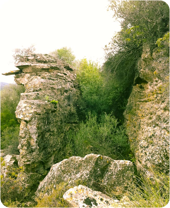 Serra dos Gaiteiros-2178.jpg