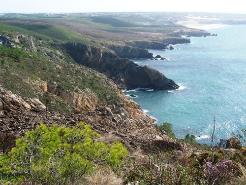azoia cascais.jpeg