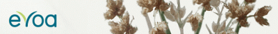 evoa.gif