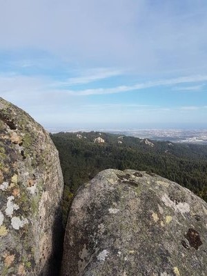 20170319_163712.jpg