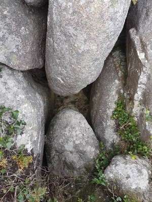 20170319_163758.jpg